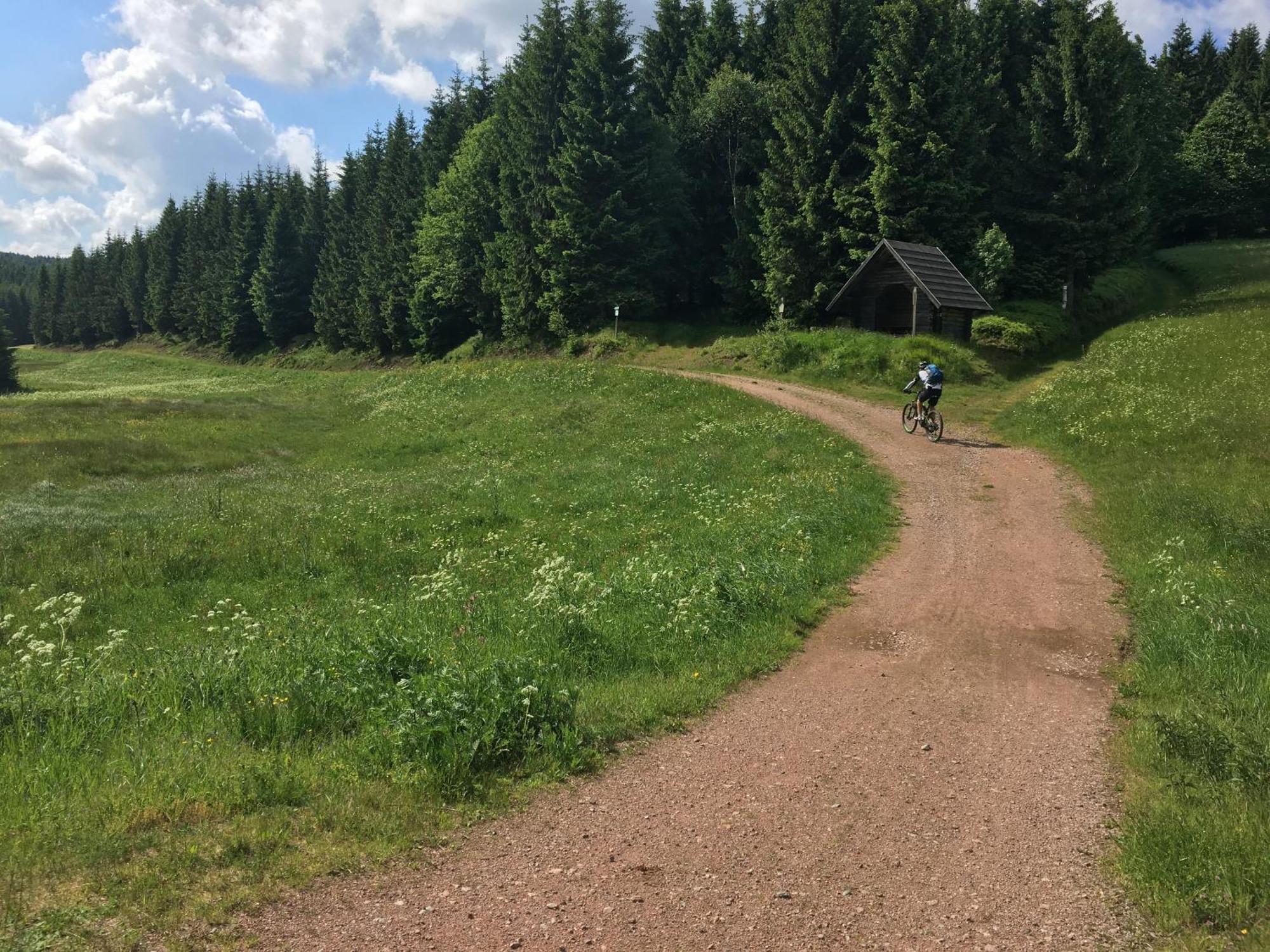 Ferienhaus Bikehuette Rehnhaeusl Geising Δωμάτιο φωτογραφία