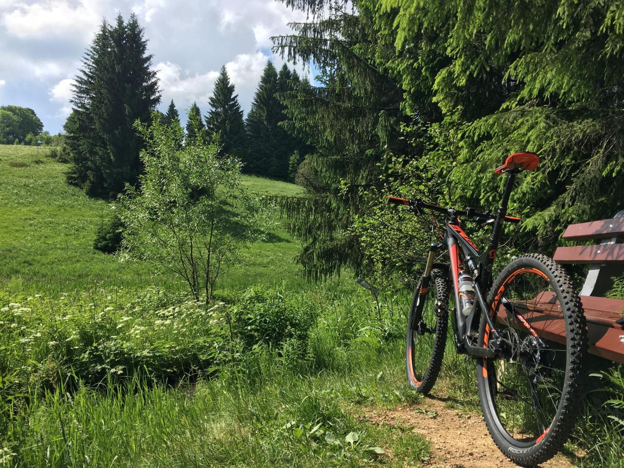 Ferienhaus Bikehuette Rehnhaeusl Geising Εξωτερικό φωτογραφία